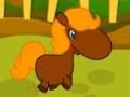 Jeu Pony Races