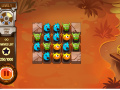 Jeu Combo Crusader 
