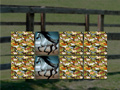Jeu Horse Memo Deluxe
