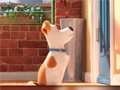 Jeu Hidden Letters in The Secret Life of Pets