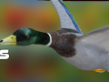 Jeu Duck Hunter Autumn forest 
