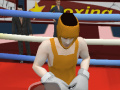 Jeu Summer Sports: Boxing