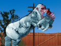 Jeu Yeti Rampage