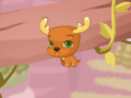 Jeu Hop Hop Animals