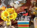 Jeu Crazy Cat Lady