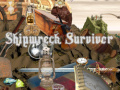 Jeu Shipwreck Survivor