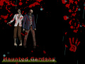 Jeu Haunted Gardens 