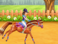 Jeu Horse Care and Riding