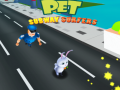 Jeu Pet Subway Surfers