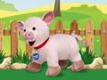 Jeu Catch The Pig