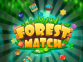 Jeu Forest Match