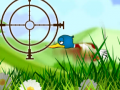 Jeu Quack Hunt
