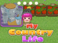 Jeu My County Life