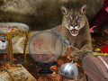 Jeu The Secrets of Felwood
