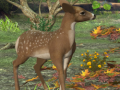Jeu Spot The differences Spring in the Woods