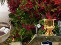 Jeu The Prize Winning Garden