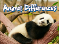 Jeu Animal Differences 