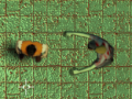 Jeu Maze Of Infection