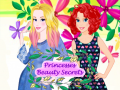 Jeu Princesses Beauty Secrets