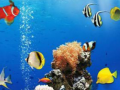 Jeu Sea Underwater Difference