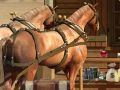 Jeu Dangerous Outlaws