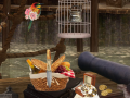 Jeu Unknown Island