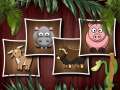 Jeu Animal Shapes 3