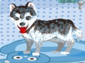 Jeu My Cute Dog Bathing