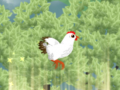 Jeu Chickaboom