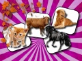 Jeu Domestic Animal Memory Challenge