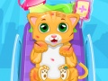 Jeu Little Cat Doctor