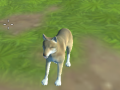 Jeu Wolf Simulator