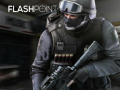 Jeu Flashpoint
