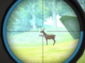 Jeu Hunter Training