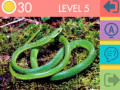 Jeu 15 Picture Quiz