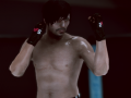 Jeu MFS: MMA Fighter
