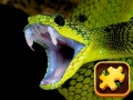 Jeu Snake Puzzle Challenge