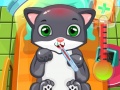 Jeu Cat Doctor