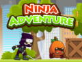 Jeu Ninja Adventure