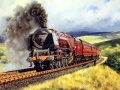 Jeu Train Journeys Puzzle