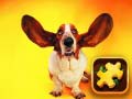 Jeu Funny Dogs Puzzle