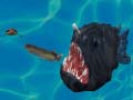 Jeu Fish 3d