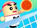 Jeu Amazing Volleyball