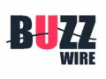 Jeu Buzz Wire