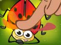 Jeu Insect Cush