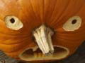 Jeu 5 in 1 Picture Puzzle: Halloween