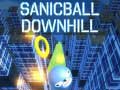 Jeu Sanicball Downhill