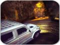 Jeu Scary Car Driving Simulator