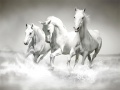 Jeu Horses Puzzle