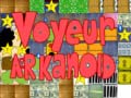 Jeu Voyeur arkanoid